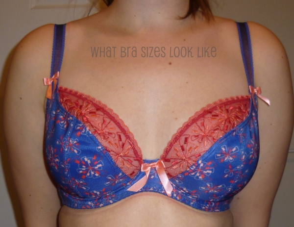 30F – What Bra Sizes Look Like