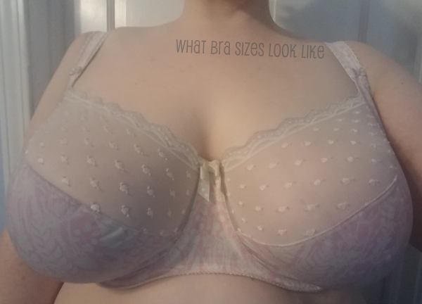 36H – What Bra Sizes Look Like