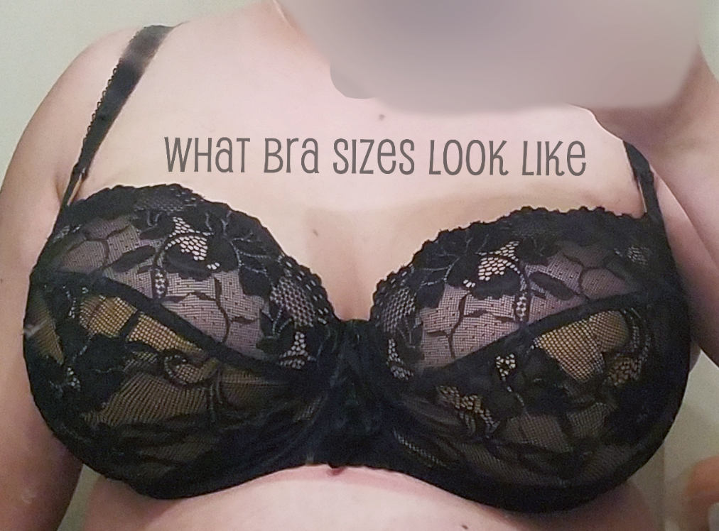 36JJ/36K in Ewa Michalak – What Bra Sizes Look Like