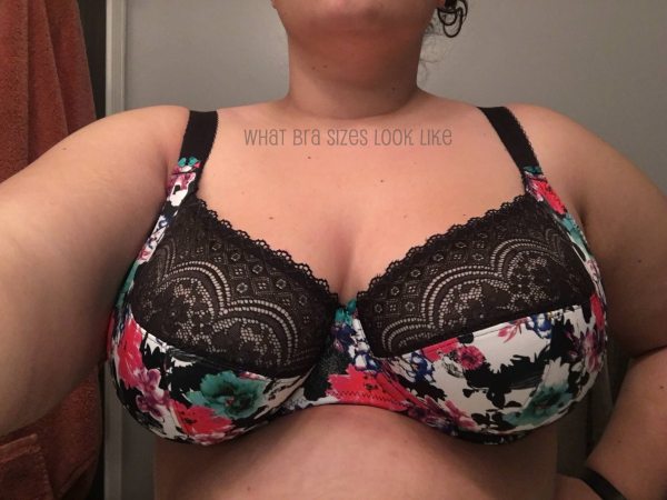 All G Cups – What Bra Sizes Look Like