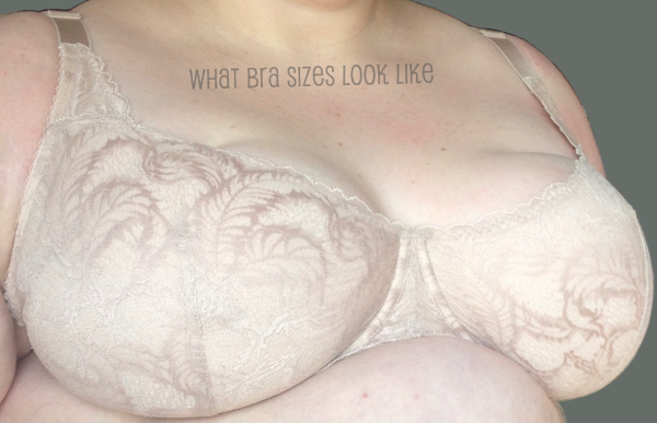 42F – What Bra Sizes Look Like