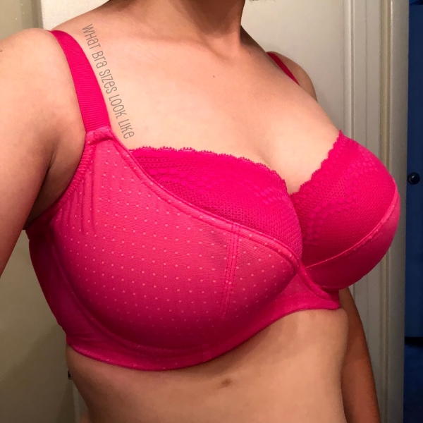 All H cups – What Bra Sizes Look Like