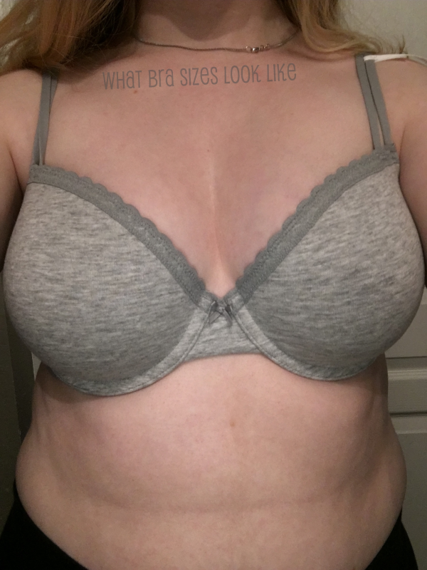 36C – What Bra Sizes Look Like